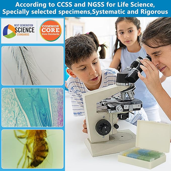 Microscope Slides with Specimens for Kids, 30 Lab-Grade Prepared Microscope Slides, Animal Plant Microbe Cells, STEM Biology Kit for Kids Ages 6-8 Homeschool, Classroom Labs & Science Education