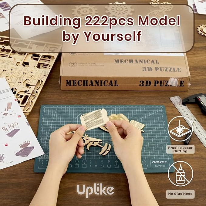 3D Wooden Puzzles for Adults: 3D Puzzle Light-Up Ferris Wheel with Music Box - 222psc Wooden Puzzles Model Building Kits Fun Gifts for Adult with Storage Box - Hobbies for Men Women