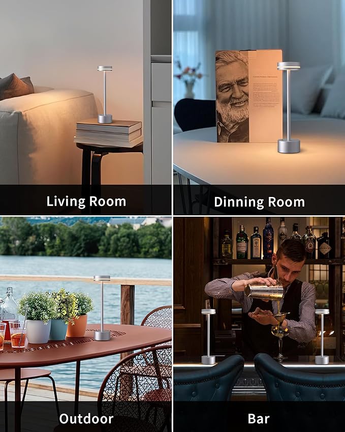 PUSU Portable Table Lamp Battery Powered LED Lamp Cordless Table Lights 3-Level Brightness Touch Control, for Home Office Bedroom Hotel Room Restaurant Outdoor(Silver)