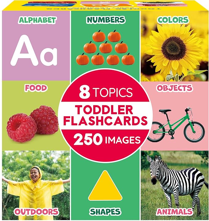 BenBen Flash Cards for Toddlers, 250 Images, Extra Thick Double-Sided Educational Flashcards, Alphabet, Number, Animal, Shape, Color, Preschool Learning Activities, Gift for Kids 1 2 3 4 Years
