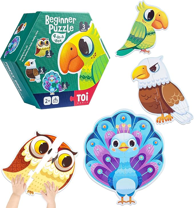 TOI Large Piece Toddler Puzzles for 2-4 Years Old, 4 Packs Beginner Puzzles for Toddlers, Kids Big Shape Preschool Learning Puzzle for Boys Girls Gift, Forest Birds