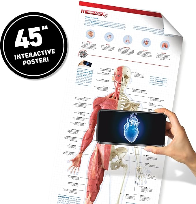 Abacus Brands Virtual Reality Human Body Gift Box- Illustrated Interactive VR Book and STEM Learning Activity Set - for Ages 8 and Up
