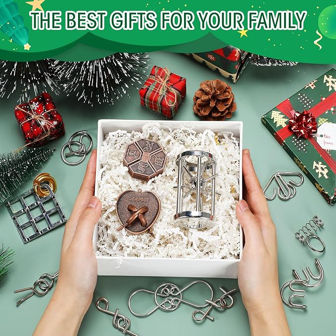 25 Pcs Brain Teaser Puzzles for Adults and Teens Metal Cast 3D Unlock Interlocking IQ Puzzle Toys Educational Smart Gifts