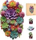 delobil Puzzles for Adults 1000 Pieces with Puzzle Saver - Succulent Wooden Puzzle Unique Liberty Adult Jigsaw Puzzles Brain Teaser Family Game Gift 28.1'' x17.3''
