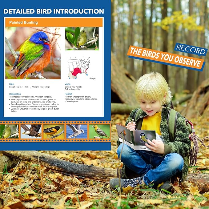 Toys for 3-7 Year Old Girl Boy: LET'S GO! Bird Watching Binoculars for Kids Ages 3 4 5 6 7 Year Old Girls Boys Outside Learning Toy for Kid Christmas Preschool Gift Toddler Binoculars Toy Stuffers