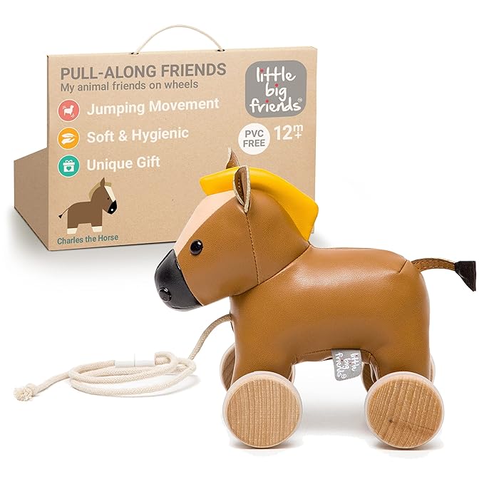 Little Big Friends Horse Pull Toy for Toddlers | Soft Walking Toy with Adjustable Cord | Developmental Play | Charles The Horse