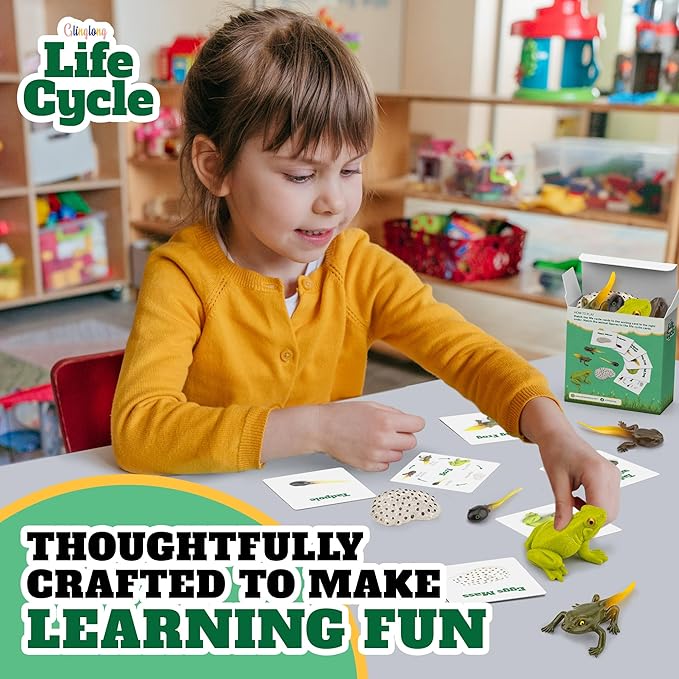 Life Cycle Kit Montessori - Realistic Figurine Toys, Kids Animal Matching Game with Frog Animals, Stocking Stuffers Science, Fun for Learning & Education Toys, for Children 3+