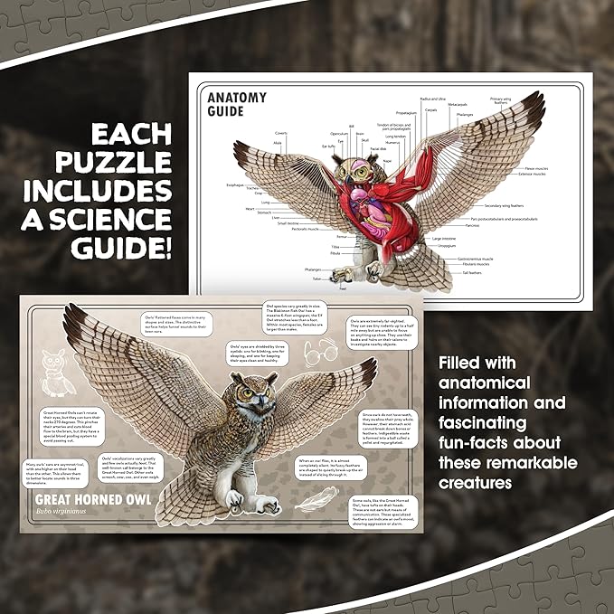 Owl Animal Anatomy Floor Puzzle | 100-Piece Double Sided Jigsaw Puzzle | Large-Sized, Over 3 Feet Scientifically Accurate Illustration - Fun and Educational Toy for Kids, Toddlers and Families