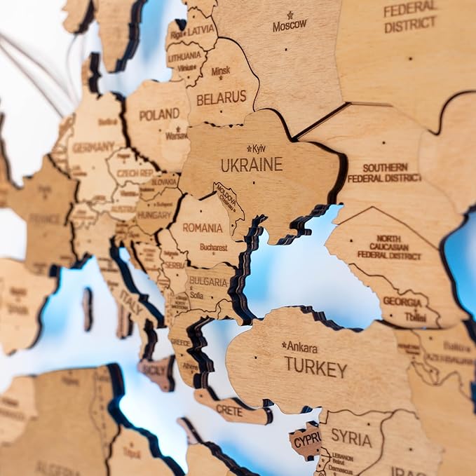 Enjoy The Wood 3D Wood World Map LED 3.0 Wall Art Modern Home Decor Gifts LED Lighting Wall Decor Housewarming Gift (Light)