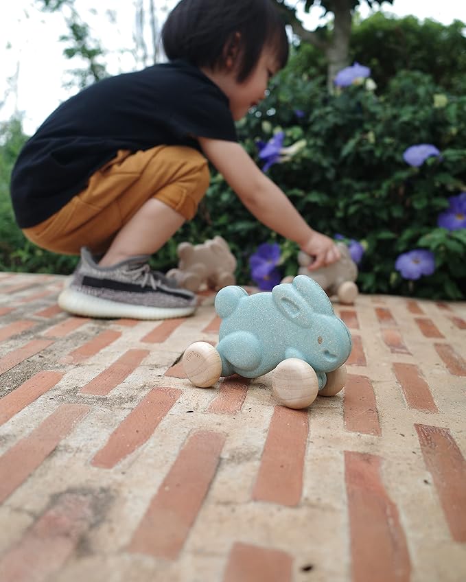 PlanToys Push Along Bunny (Blue)