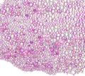 Iridescent Glass Tiny Bubble Beads, 0.4-3mm 10g No Hole Micro Mini Round Purple Water Droplets Beads - Applications: for Resin Filler, Nail Art, Dollhouse Bath Tub