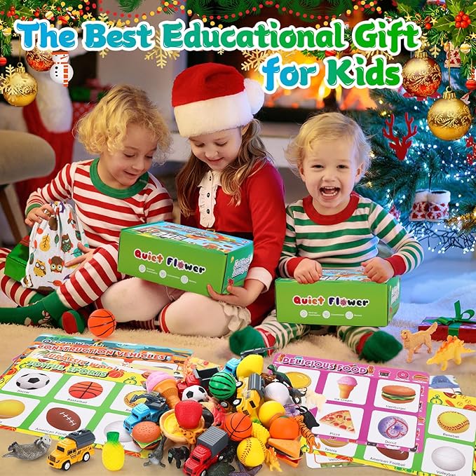 Sorting Toys for Toddlers, Sensory Toys for Kids Age 3 4 5, Boys Girls Montessori Toy, Preschool Learning Activities Education Toys, Alphabet Animal Dinosaur Fruit Vehicle Farm Toys