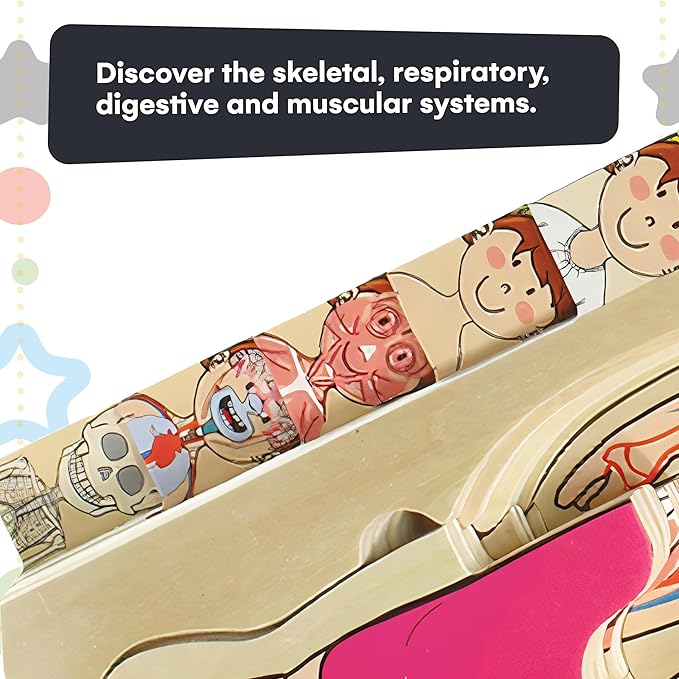 Kidzlane 29 Piece Wooden Puzzle for Toddlers and Kids - Boy Anatomy Puzzle Play Set - Layered Human Anatomy Kid Puzzles - My Body Preschool Game, Montessori Skeleton Toy - Human Body Model for Kids