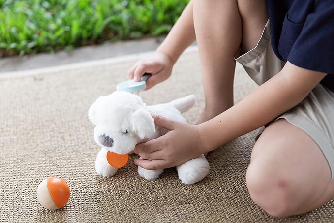 PlanToys® Pretend Pet Care Play Set for Kids | Animal Carrier with Brush, Food, Bowl, Ball, Collar & Accessories | Montessori Toy for Toddlers | Educational Gift for Boys & Girls