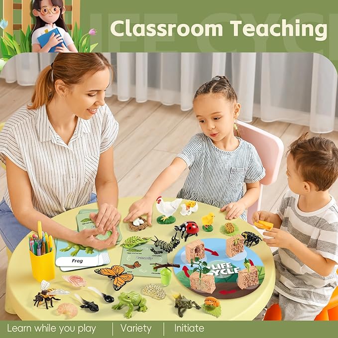 Life Cycle Kit Toy Montessori, Realistic Figurines Set for Kids with 25 Pieces Animals & Plants, Learning & Education Activity Games for Children 3 + |Preschool Classroom Must Haves