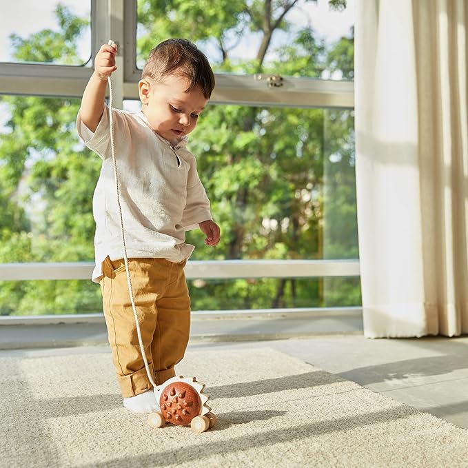 PlanToys Pull Along Hedgehog – Brown (5274)