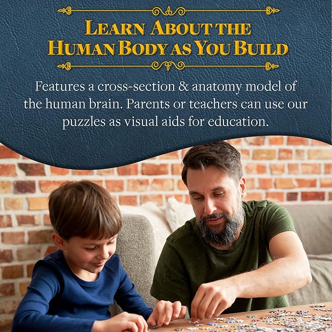 Dr. Livingston's Human Brain Anatomy Puzzle - A Medically Accurate Jigsaw Puzzle of The Brain Section - Educational Organ Toy for Teens & Adults - Unique Science Gift for Doctors, Nurses & Teachers