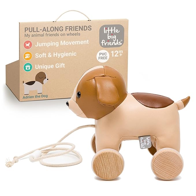 Little Big Friends Dog Pull Toy for Toddlers | Soft Baby Walking Toy with Adjustable Cord | Easy-to-Clean Push & Pull Toy | Adrien The Dog