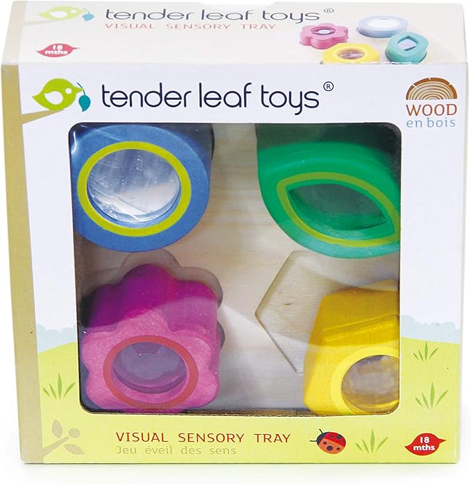 Tender Leaf Toys - Sensory Trays - Baby Blocks, Shape Sorter, STEM Learning Shape Identification Sorting Game Toy for Kids 18 Month + (Visual Sensory Trays)
