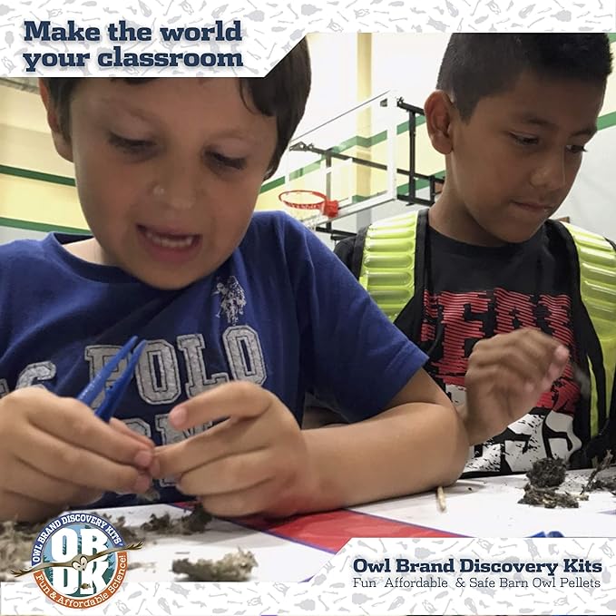 OBDK Barn Owl Pellets for Dissection - 20 Pack Medium Sized (1.5"-2.0") with Tools, Guide and Charts from Owl Brand Discovery Kits