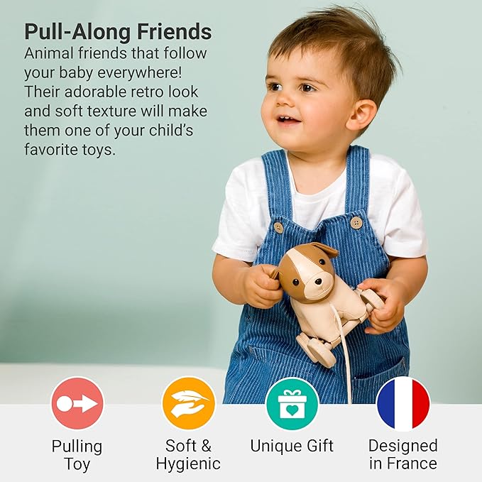 Little Big Friends Dog Pull Toy for Toddlers | Soft Baby Walking Toy with Adjustable Cord | Easy-to-Clean Push & Pull Toy | Adrien The Dog