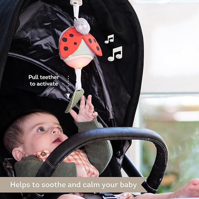 Taf Toys Music & Light Ladybug Take Along Toy, Portable Baby Sound Machine, Newborn Soother, Infant Musical Crib Mobile, Perfect for Tummy Time and Brain Development, Suitable for 0-6 Months