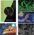 Glow in The Dark Scratch Art Paper,4 Sheets Rainbow Noctilucent Scratch Painting Kit for Adults & Teens,DIY Art Craft (Starry Animals)