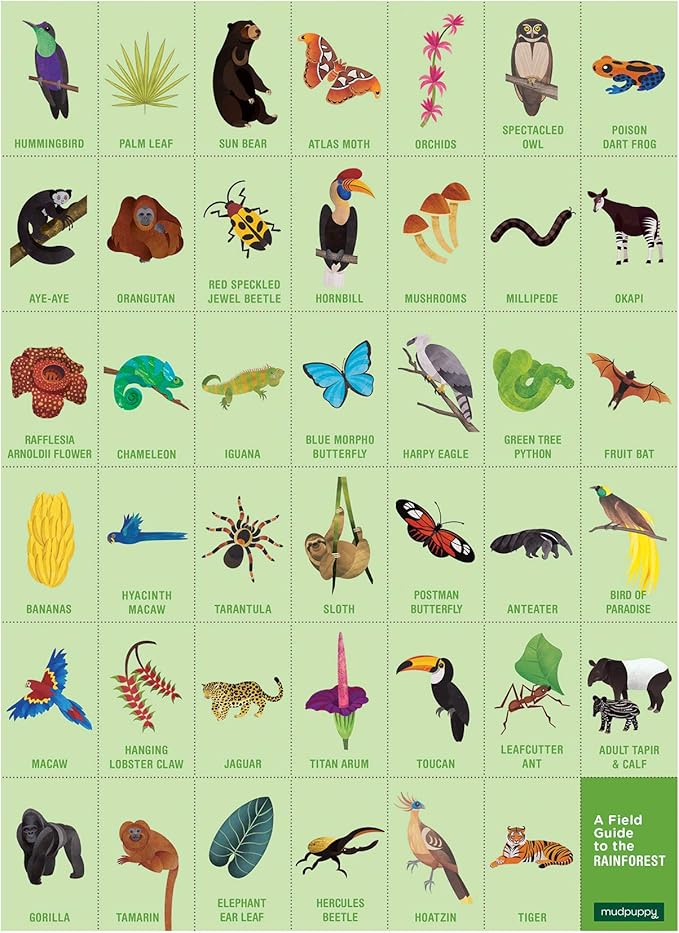Mudpuppy Rainforest — 64 Piece Search & Find Puzzle Jigsaw Puzzle Featuring Diverse and Exotic Rainforest Animals and Over 40 Hidden Images to Find for Ages 4+