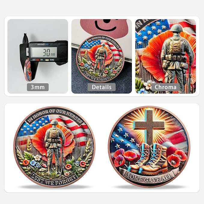 AtSKnSK Memorial Tribute Challenge Coin Some Gave All Lest We Forget Thank You for Your Service Military Coin (Poppy Military Boots, 24)