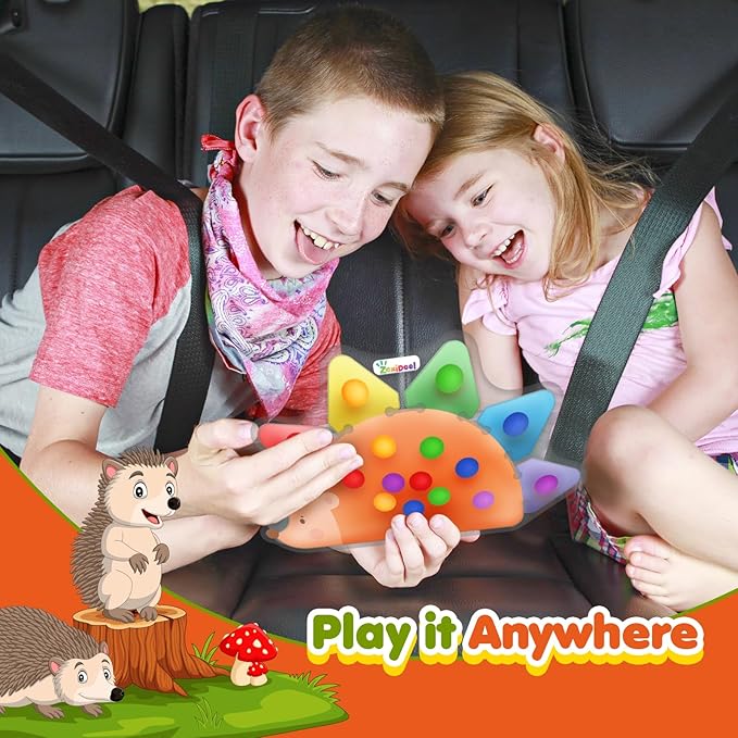 Color Sorting Sensory Toys for Toddlers : Fine Motor Skill Games Learning Toy for Toddlers, Color Matching Preschool Activities Educational Calm Down Montessori Toys for Kids Boy Girl Gifts Ages 3+