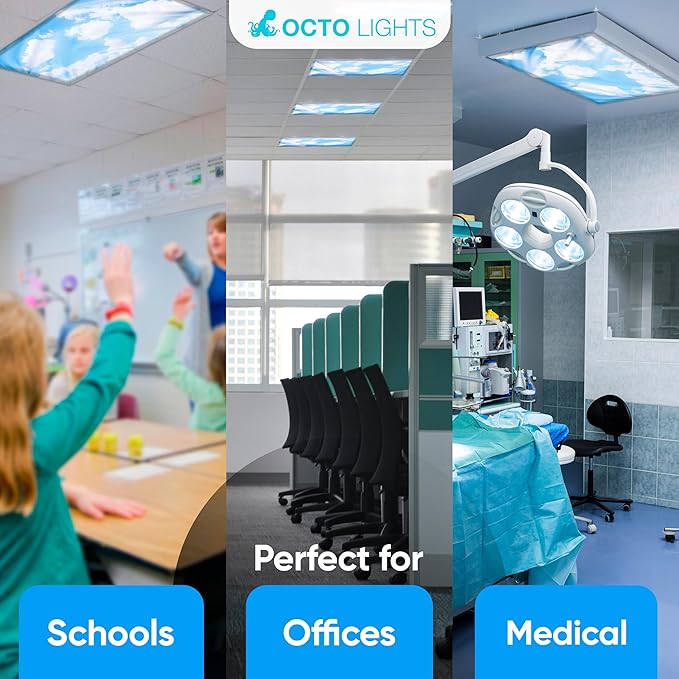Fluorescent Light Covers for Ceiling Lights - Magnetic Cloud Cover for Fluorescent Or LED Fixture - Must Haves for Teacher Supplies - Classroom, Home, Office Cubicle Decor - Filters Overhead Lighting