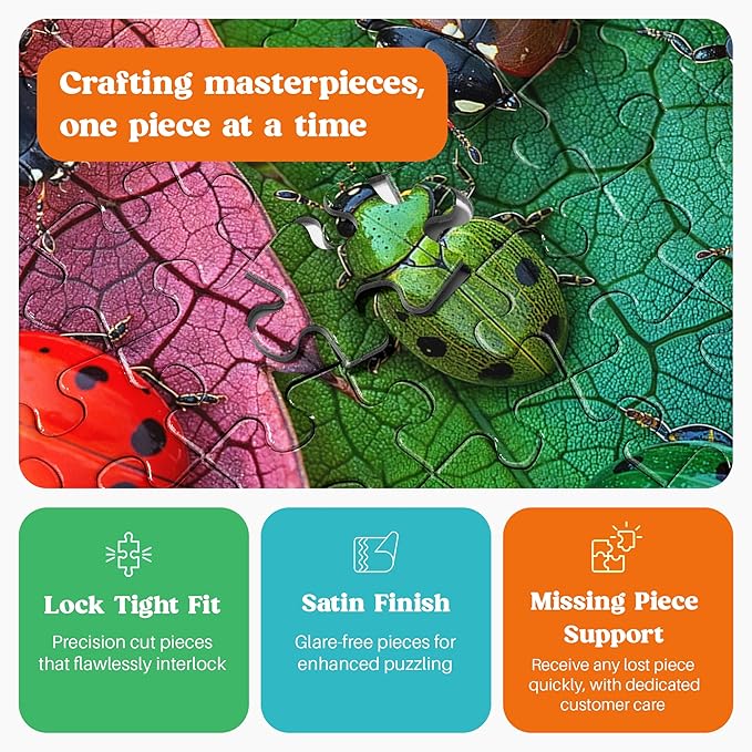 Cross & Glory - The Ladybug Rainbow - 1000 Piece Jigsaw Puzzle for Adults | Vibrant Nature Puzzle | Colorful and Relaxing Puzzle Challenge