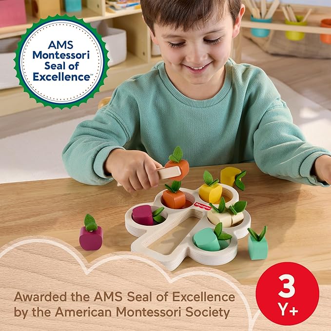 Fisher-Price Wood Montessori Toy Sorting Tree, American Montessori Society Seal of Excellence, Wooden Learning Activity Puzzle & Expert Play Tips for Preschool Kids Ages 3+ Years (Amazon Exclusive)
