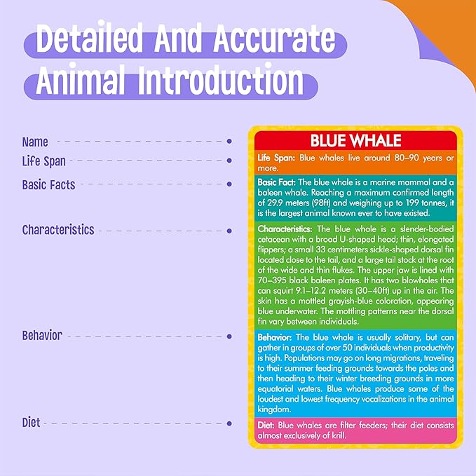 24PCS Animal Figurines with 24 Introducing Flashcards, Wild & Marine Animal Figures Safari and Underwater Creature Learning Montessori Toys Science Educational Matching Game for Homeschool, Kids