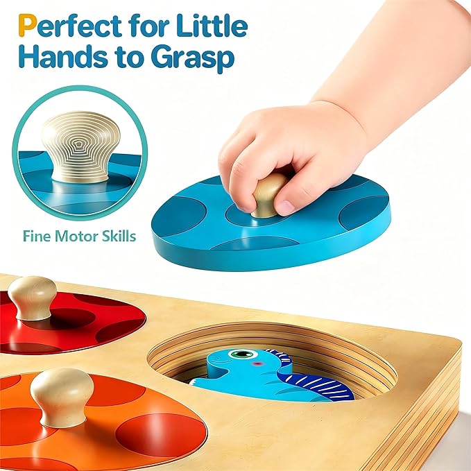 Montessori Toys for 1 Year Old Boys Girls Gifts: Wooden Shape Sorter & Color Match Baby Puzzles 12-18 Months - Dinosaur Matching Eggs Peg Puzzle for 1 2 Year Old Toddler Learning Activities