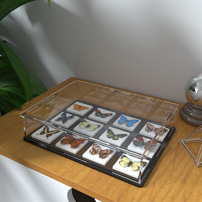 Display Case for Book & Stamps, Flat Acrylic Box for showcaseing Coins, Cards, Photos, Album, Jewellery, Books and Collectibles 14.5 (L) × 11 (W) × 4 (H) inch