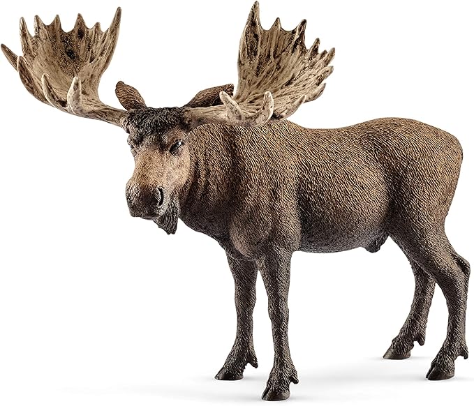Schleich Wild Life, Realistic North American and Woodland Animal Toys for Kids, Animal Set with Moose, Grizzly Bear, Fox, Wolf and Alligator Toys, Ages 3+