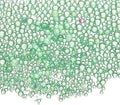 Iridescent Glass Tiny Bubble Beads, 0.4-3mm 10g No Hole Micro Mini Round Peacock Green Water Droplets Beads - Applications: for Resin Filler, Nail Art, Dollhouse Bath Tub