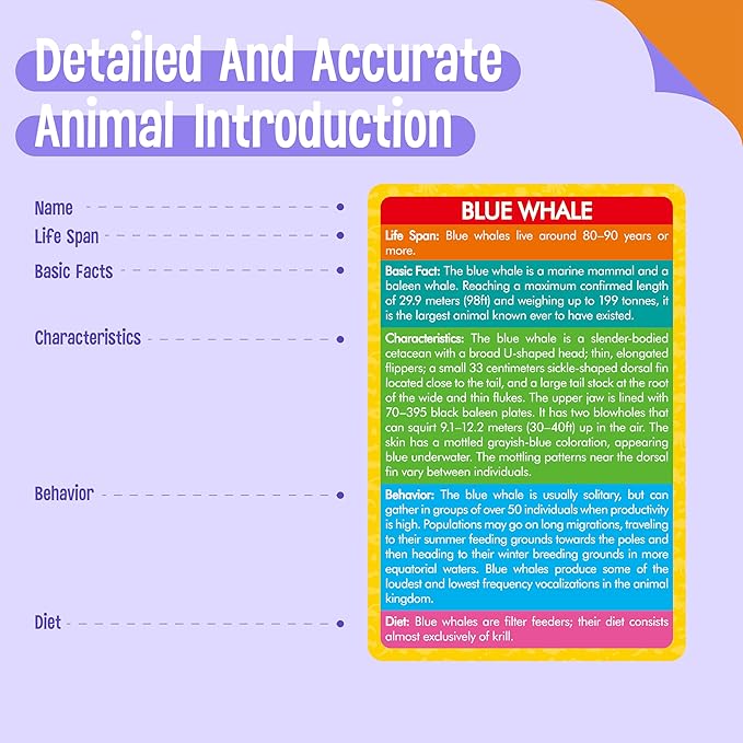 12 PCS Plastic Marine Animal Figurines with 12 Introduction Flashcards, Ocean Animals Learning Recognition Cards Realistic Undersea Animal Figures Educational Learning Toy Set for Kids, Classroom