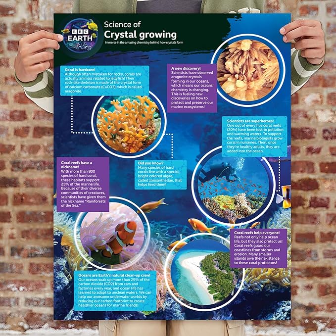 BBC Earth Grow & Discover Crystal Aquarium, Grow Colorful Cave-Like Crystal Formations Inside Reusable Tank, Magic Rocks, STEM Toys, Unique Crystal Growing kit, Science Experiments for Kids 6-8