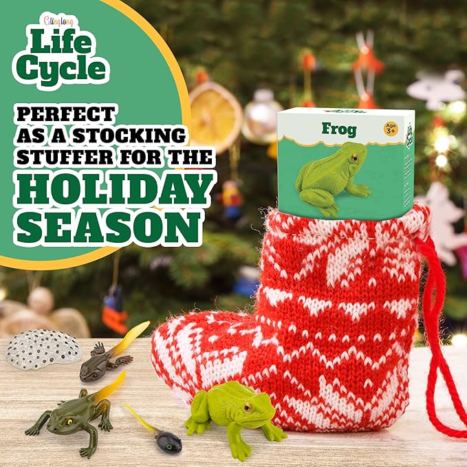 Life Cycle Kit Montessori - Realistic Figurine Toys, Kids Animal Matching Game with Frog Animals, Stocking Stuffers Science, Fun for Learning & Education Toys, for Children 3+