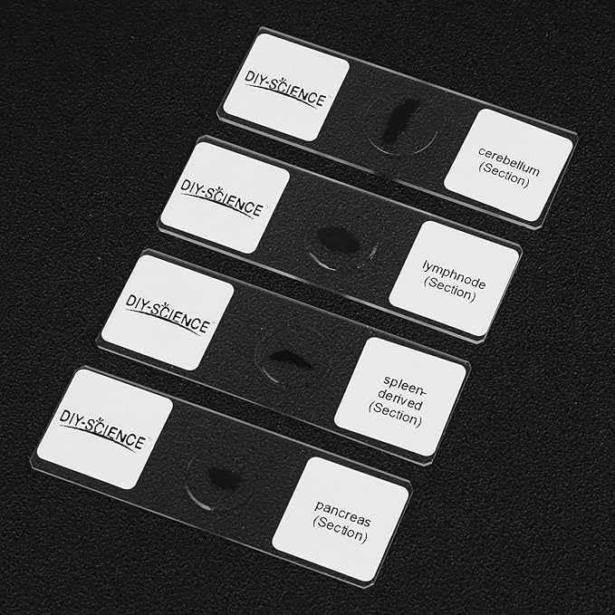 Mammal Anatomy Organ Tissue Specimens, 25 Similar to Human Tissue Prepared Microscope Slides Set for Students Hobbyists Beginners (Mammal Specimens)