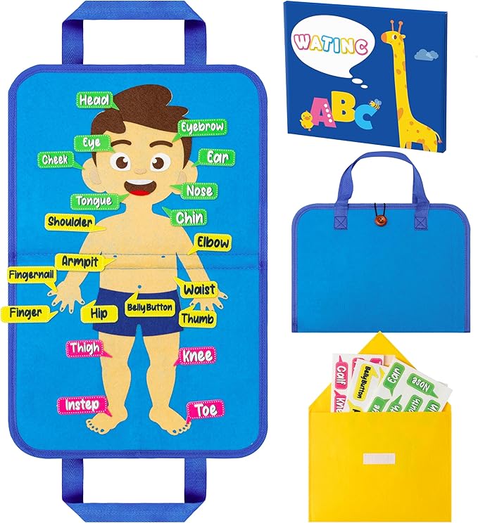 WATINC Body Parts Learning Portable Felt Story Board Set, 32PCS Preschool Human Organ Educational Teaching Storytelling Travel Board, Early Interactive Play Kit Gift for Toddler Kid (White)