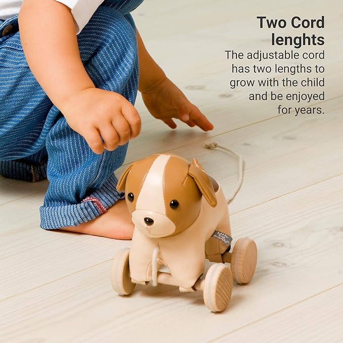 Little Big Friends Dog Pull Toy for Toddlers | Soft Baby Walking Toy with Adjustable Cord | Easy-to-Clean Push & Pull Toy | Adrien The Dog