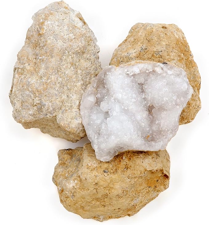 DANCING BEAR 25 Break Your Own Geodes, 90% Hollow, (Large 1.75-2.5") Crack Open & Discover Amazing Surprise Crystals Inside! Educational Info and Instructions Included, Fun Party Favors & Prizes
