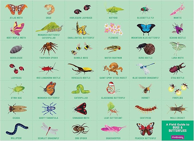 Mudpuppy Bugs & Butterflies — 64 Piece Search & Find Puzzle Jigsaw Puzzle Featuring Diverse Bugs and Insects and Over 40 Hidden Images to Find for Ages 4+