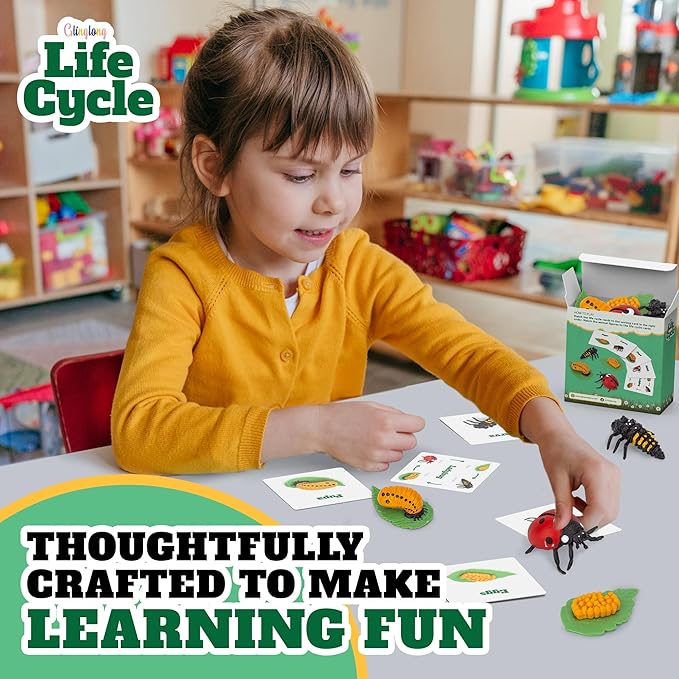 Life Cycle Kit Montessori - Realistic Figurine Toys, Kids Animal Matching Game with Ladybug, Stocking Stuffers Science, Fun for Learning & Education Toys, for Children 3+