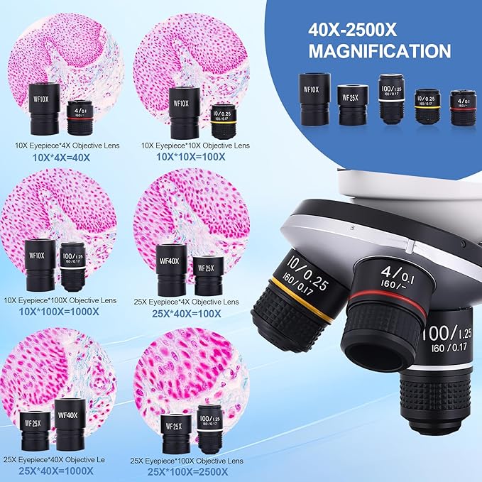 Microscope for Adults & Kids, 40X-2500X High-Power Compound Microscope for Students, School Lab & Home Schooling,Equiped with Slides Set & Phone Holder