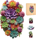 delobil Puzzles for Adults with Puzzle Saver - Succulent Wooden Puzzle Unique Liberty Adult Jigsaw Puzzles Brain Teaser Family Game Gift 200 Pieces 12.6" X 7.8"