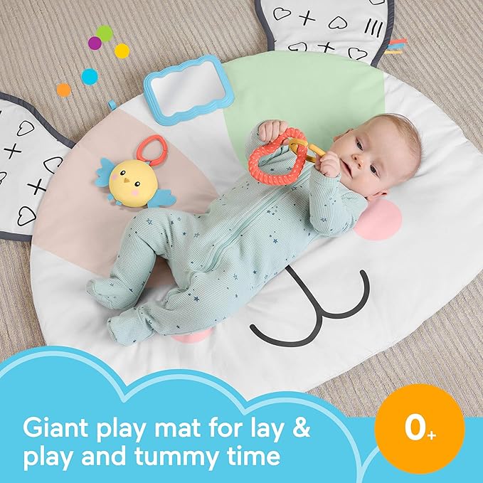 Fisher-Price Baby Tummy Time Toy, Puppy Perfection Giant Play Mat with Sensory Development Activities for Newborns 0+ Months (Amazon Exclusive)